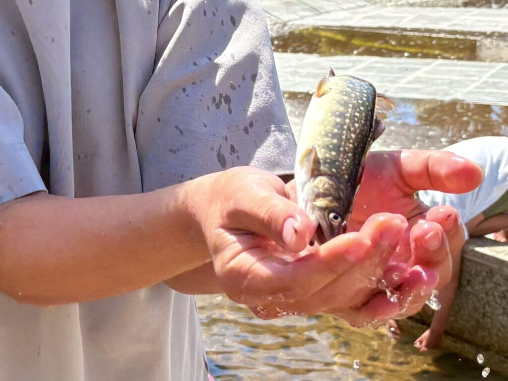なかなかつかまえられず、大人も思わず本気に。やっとつかまえた一匹に大喜びの瞬間。