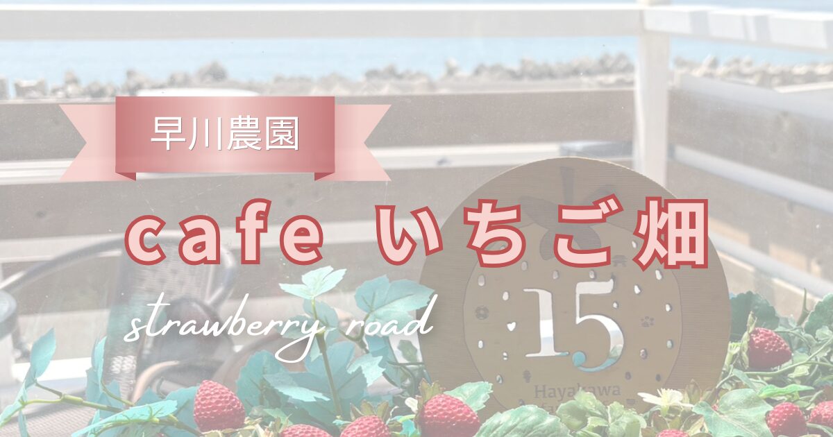 静岡市のストロベリーロードを走って、早川農園＆cafeいちご畑へ