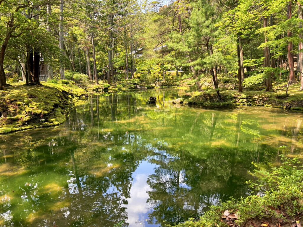 水辺と新緑が美しい西芳寺の庭園
