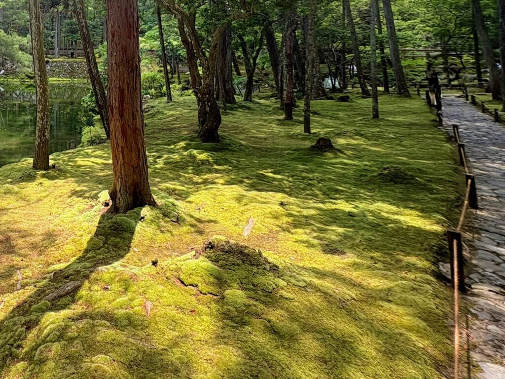  池の周りをゆっくり散策できる西芳寺