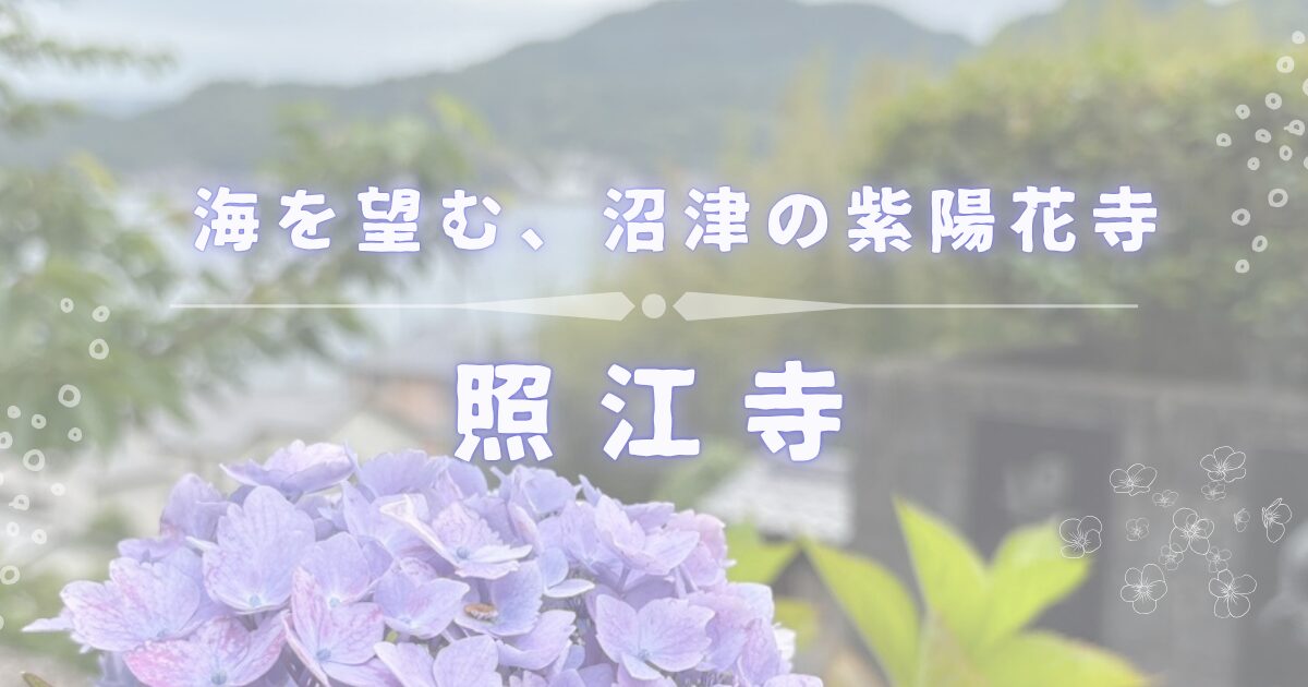 静岡県沼津市にある照江寺は紫陽花寺として名がしれています。高台から海を見下ろす寺にはたくさんの紫陽花が咲き誇ります。