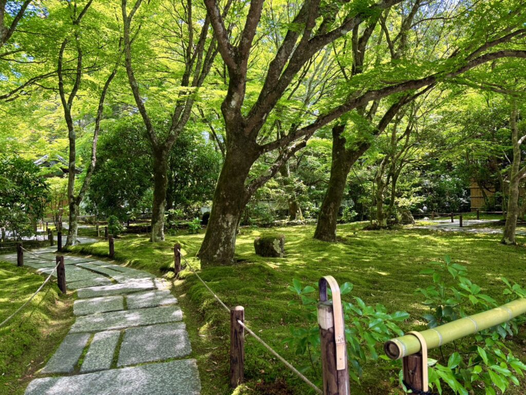  静かな空気が流れる苔寺の境内