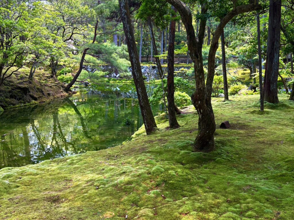 深い緑に癒される苔寺の風景