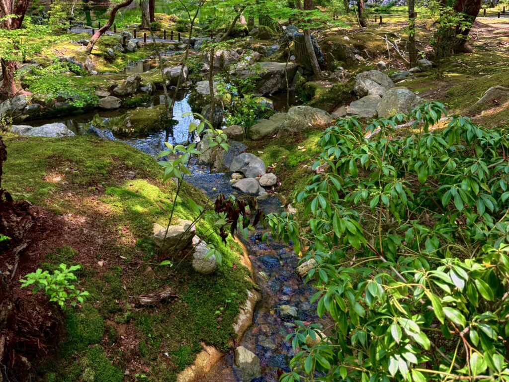 静かな小川が流れる苔寺の風景
