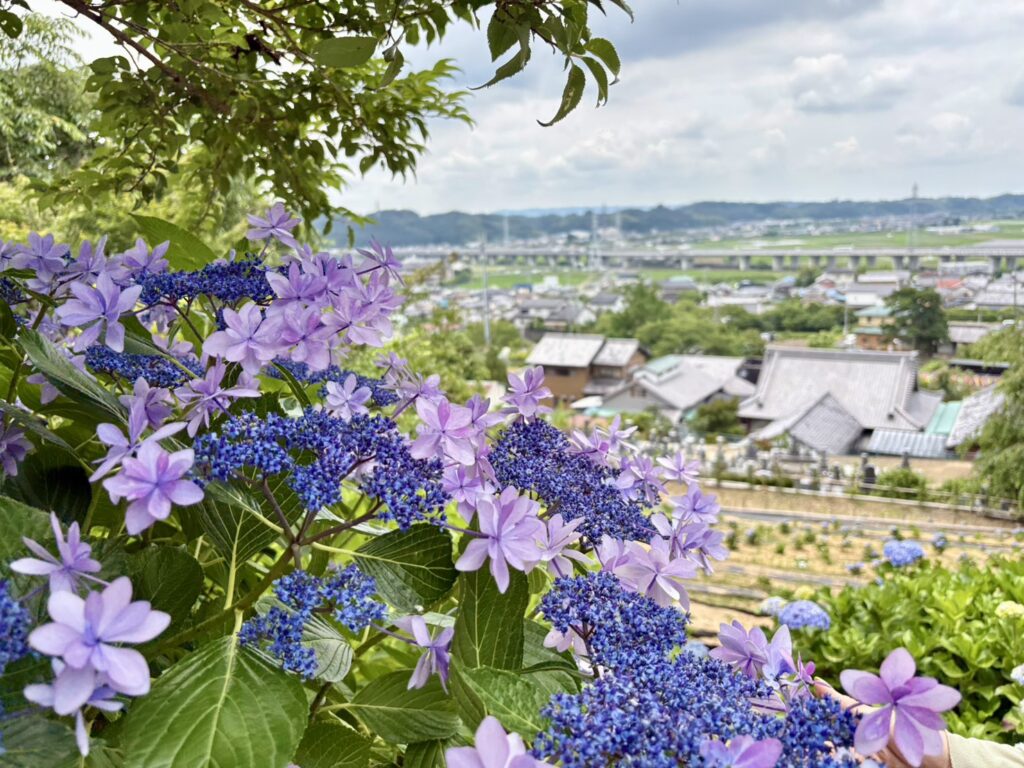みはらし台からの風景
