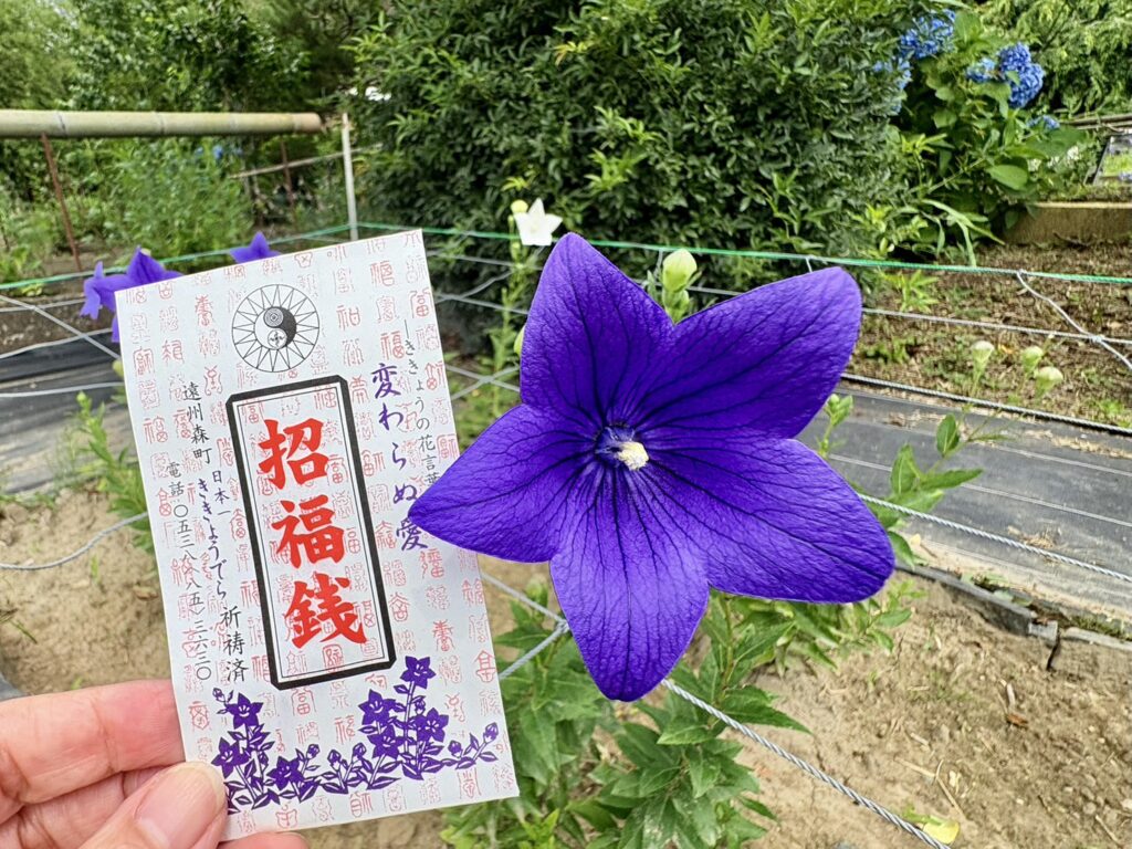 香勝寺でいただいた招福銭