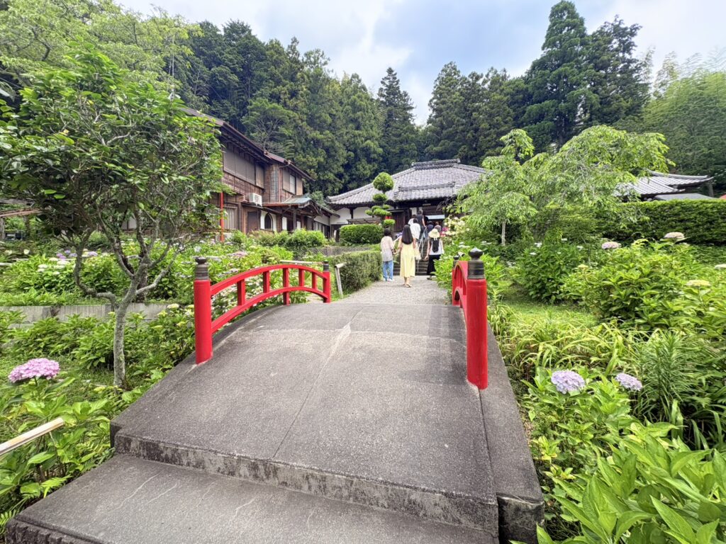 朱色の橋とあじさいの美しいコントラスト