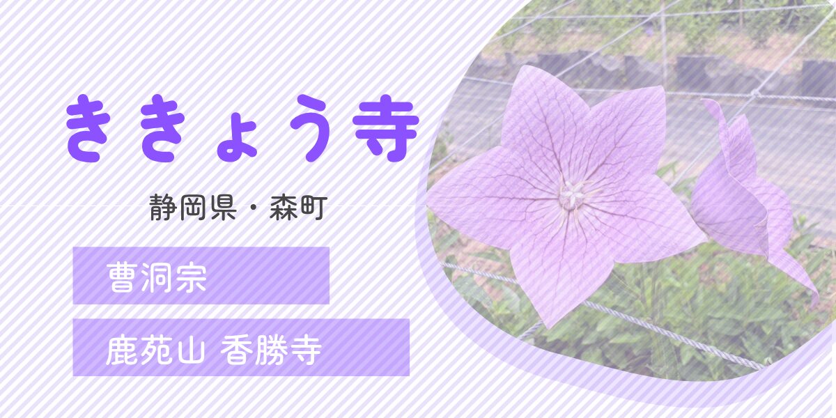 遠州森町のききょう寺