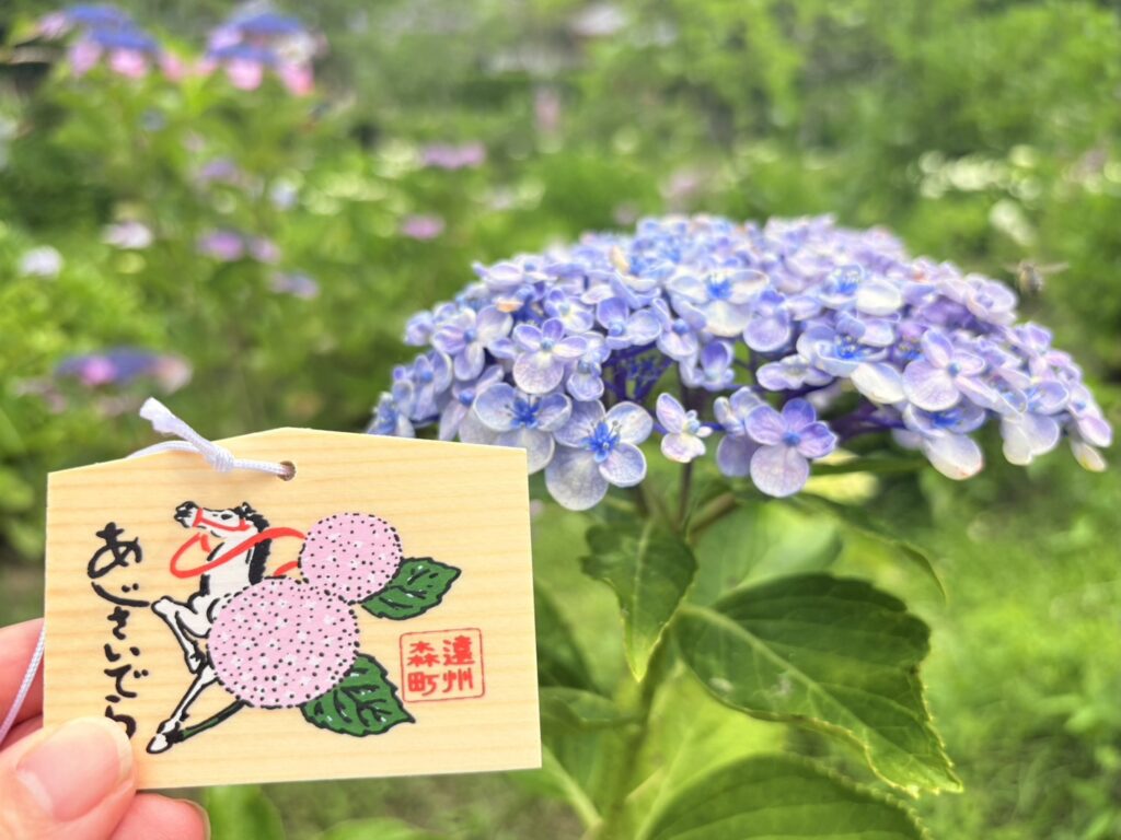 拝観受付でもらった紫陽花の絵馬
