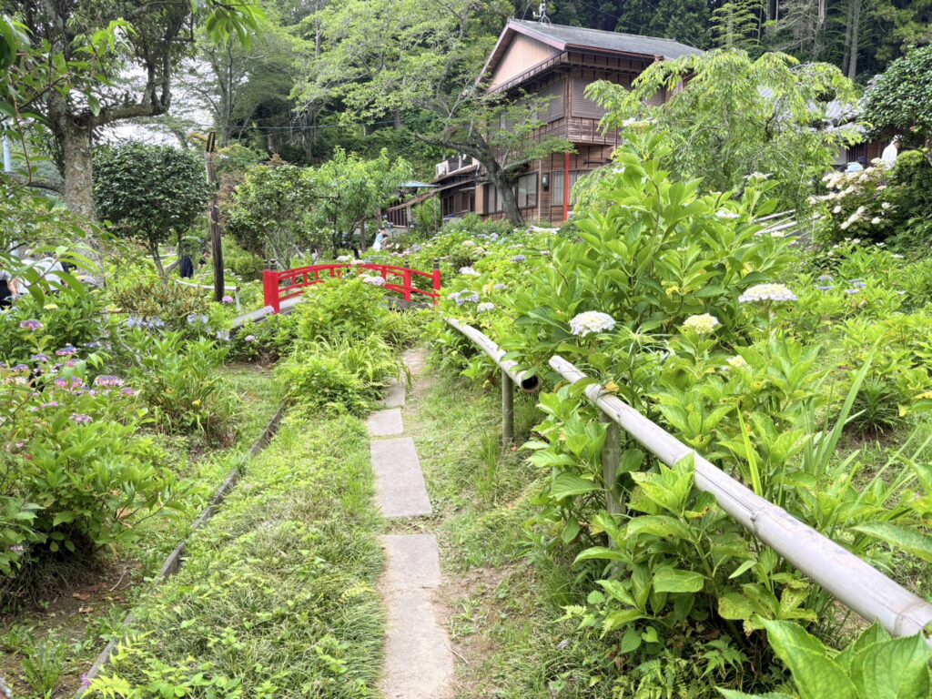 橋越しに眺める境内の風景