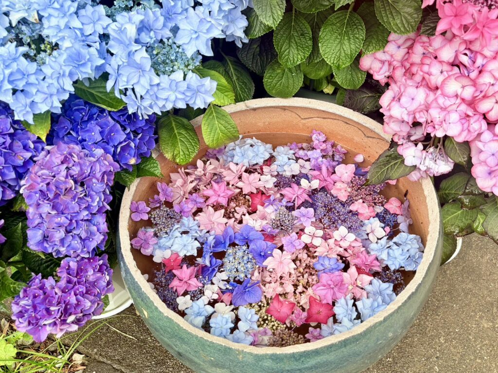 色鮮やかな花手水の装飾