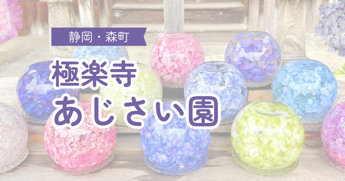 静岡県森町の紫陽花寺。極楽寺のあじさい園で見頃の紫陽花を楽しみました。