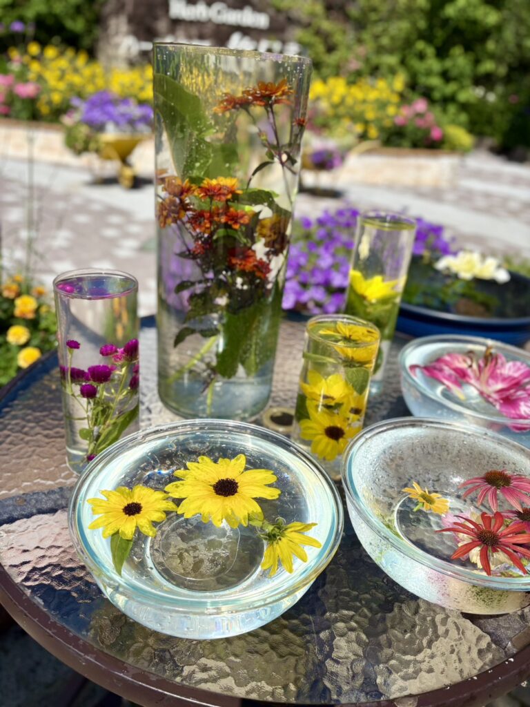 涼しげな水中花が並ぶ夏のハーブ庭園