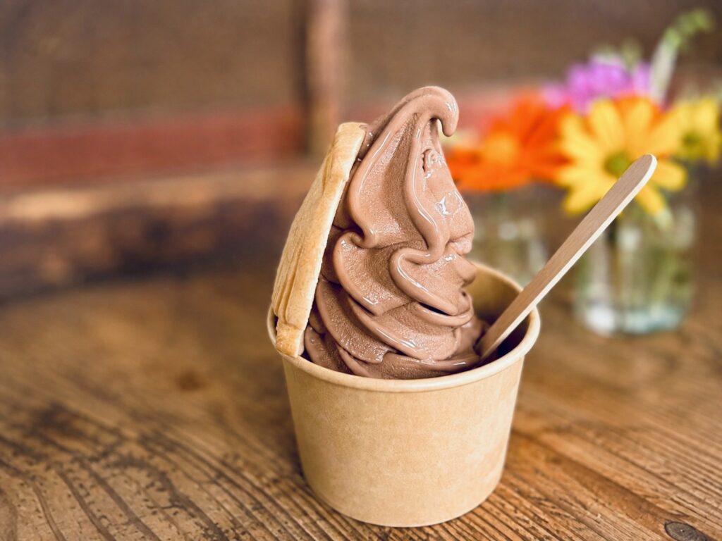 立ち寄ったカフェで食べたチョコアイス