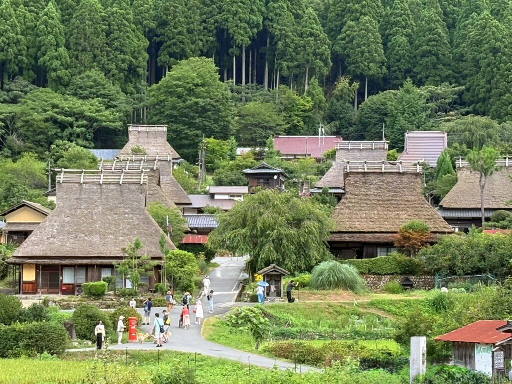 茅葺き屋根の家々と田んぼが広がる夏の美山