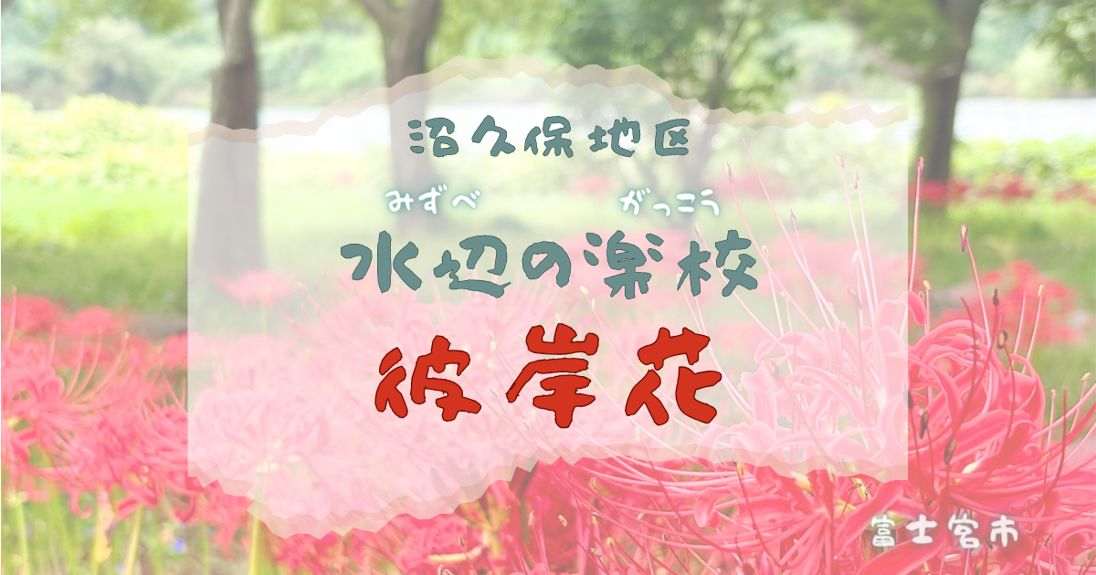 富士宮市にある水辺の楽校に咲く彼岸花