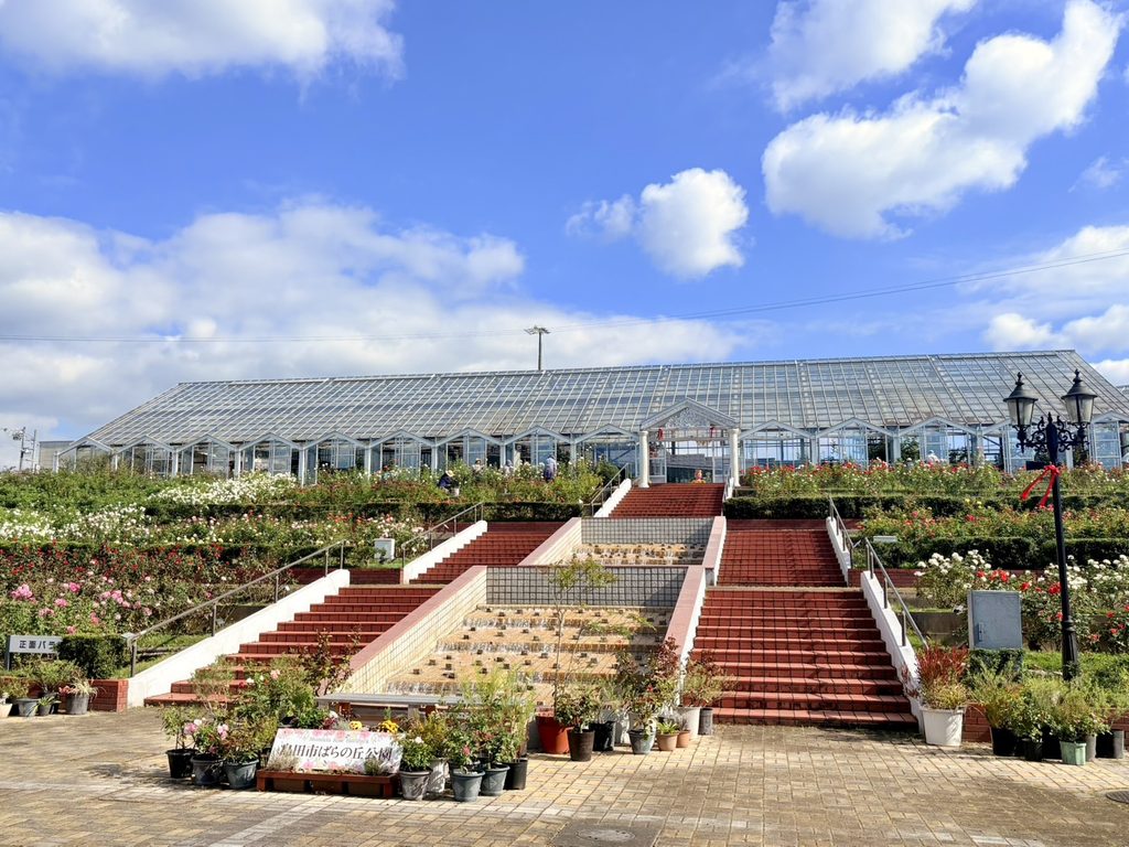 島田市ばらの丘公園のバラ園